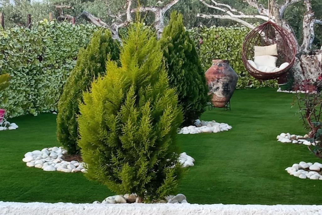 דירות לאוטרה אדיפסאו Cozy House With Amazing View! מראה חיצוני תמונה