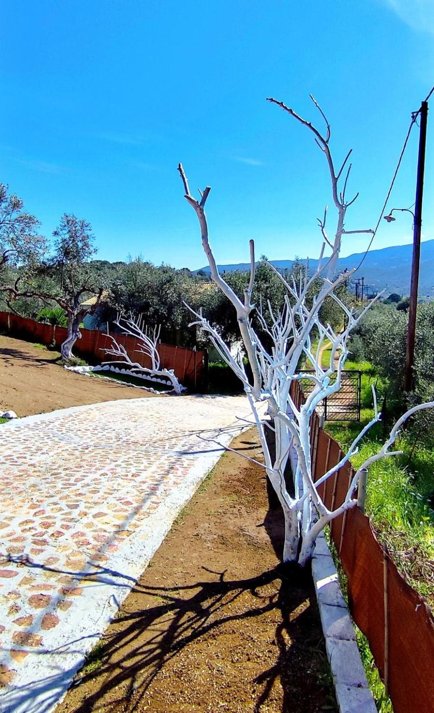 דירות לאוטרה אדיפסאו Cozy House With Amazing View! מראה חיצוני תמונה